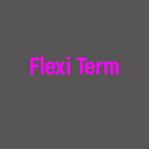 Flexi Term - per week